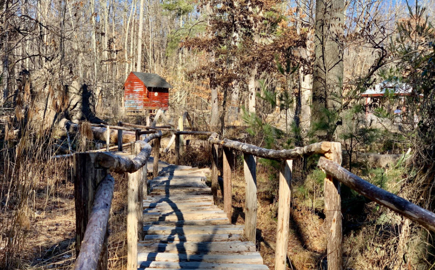 Herrontown Woods, United States